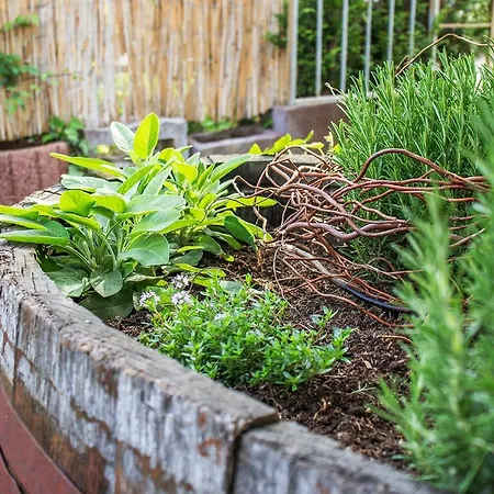 Historisches Stellwerk Mit Garten In Bester Innenstadtlage & Boxspringbetten Nahe Der Schweizer Grenze *